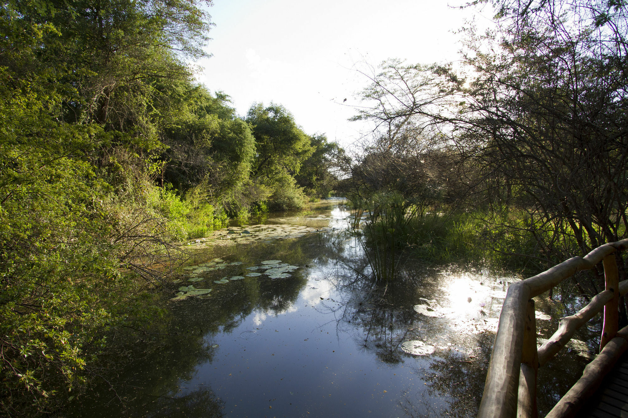 Zambezi Dusk Villa Livingstone Exterior photo